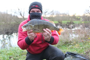 3lb 4oz perch - Dropshoting