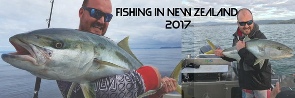Fishing In New Zealand 