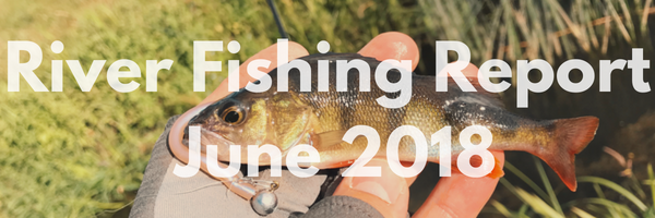 River Fishing Report For June 2018