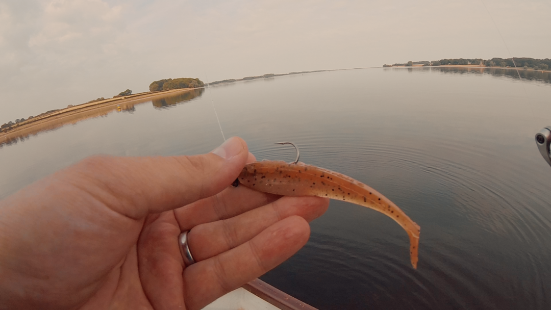 Zander Fishing Rutland V1 - A Fisherman’s Tale