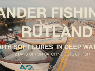 Zander Fishing Rutland