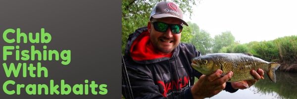 Chub Fishing with Crankbaits