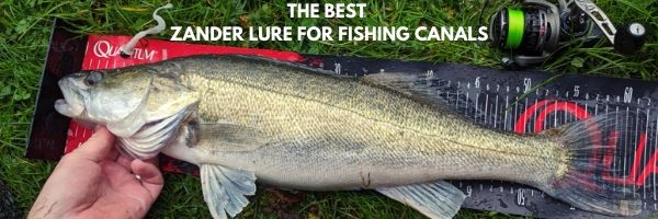 THE BEST ZANDER LURE FOR FISHING CANALS